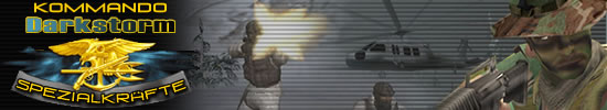 Bannergrafik des Spielers Darkstorm